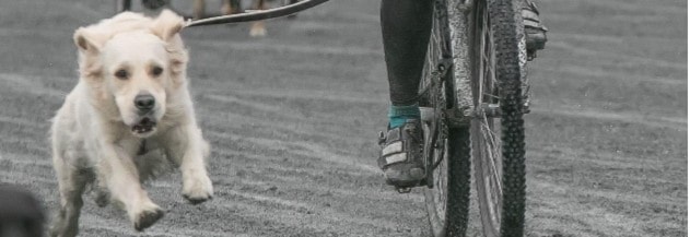 Drammen Grand Prix! - Lavterskelløp på travbane